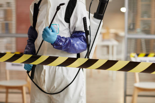 Professional Hoarding Cleanup technician working in Baldwin, IL